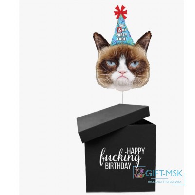 Коробка с шарами Сердитая кошка